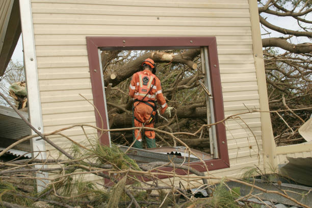 How Our Tree Care Process Works  in  Carter, TX